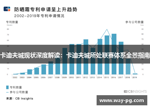 卡迪夫城现状深度解读:卡迪夫城所处联赛体系全景指南 卡迪夫城现状深度解读:卡迪夫城所处联赛体系全景指南