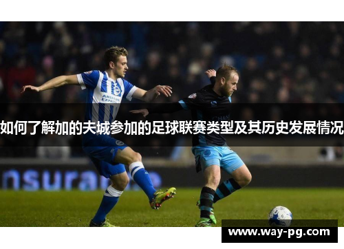 如何了解加的夫城参加的足球联赛类型及其历史发展情况