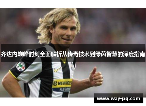 齐达内巅峰时刻全面解析从传奇技术到绿茵智慧的深度指南 齐达内巅峰时刻全面解析从传奇技术到绿茵智慧的深度指南