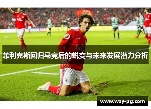 菲利克斯回归马竞后的蜕变与未来发展潜力分析