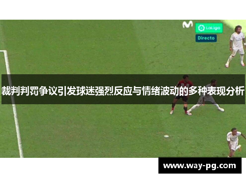 裁判判罚争议引发球迷强烈反应与情绪波动的多种表现分析