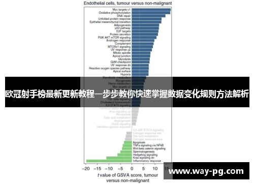 欧冠射手榜最新更新教程一步步教你快速掌握数据变化规则方法解析
