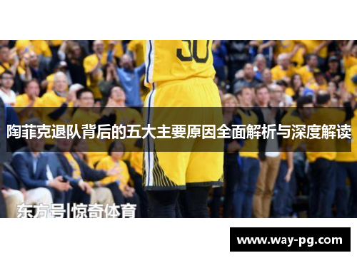 陶菲克退队背后的五大主要原因全面解析与深度解读