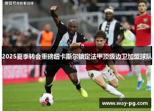 2025夏季转会重磅纽卡斯尔锁定法甲顶级边卫加盟球队