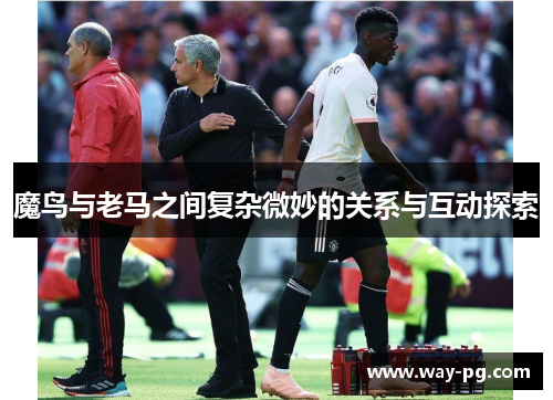 魔鸟与老马之间复杂微妙的关系与互动探索