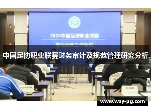 中国足协职业联赛财务审计及规范管理研究分析 中国足协职业联赛财务审计及规范管理研究分析